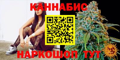 стаф Будённовск