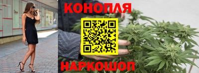 стаф Будённовск