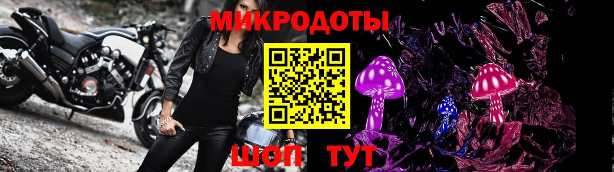 Галлюциногенные грибы Psilocybine cubensis  Вход с VPN  Майкоп 