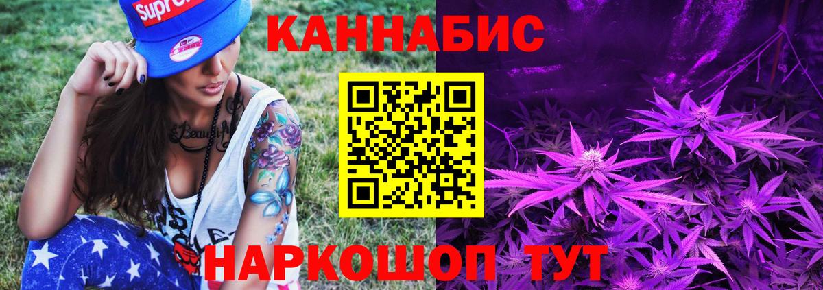Каннабис планчик  Вход с VPN  Майкоп  Шишки марихуана тримм 